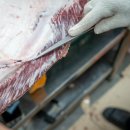 에프원(F1)자동차정비 | 울산 북구 한우 추천 에프원마켓 고기 전문팀이 있는 정육점