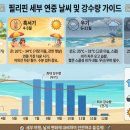 제주보홀 이미지