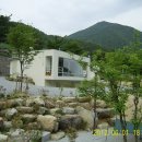 송희네집