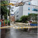 지에스25 금천벚꽃점 네이버블로그