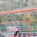 두륜산자락펜션 이미지