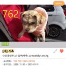 신영재동물병원 이미지