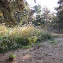 소고리마애삼존석불 이미지