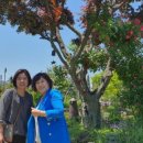 예다원찻집 이미지