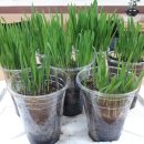 사동지역아동센터 이미지