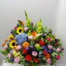 세곡햇빛어린이집 이미지