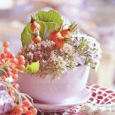 라인플러스(주) 이미지