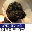 원당동물병원 이미지