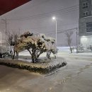 리틀프린스 관광호텔 이미지