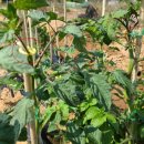 주아농장 이미지