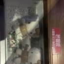 소리야노래연습장 이미지