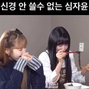 심자윤 꼰대희 레전드 이미지