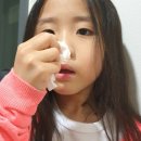 다그루 이미지