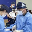광석1리마을회관 | 벌써 4번째 진행! 양주시 마당개·길고양이 중성화 프로젝트