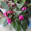 보라모텔 이미지