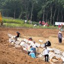 우면산5-6 이미지