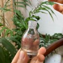 아쿠아하이텍 | 아로마티카 : 비건 화장품 알로에 하이텍 티브 세럼 내돈내산 솔직 후기(안소희 세럼)