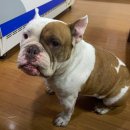 아름다운 한증막 이미지