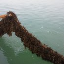 바다농장 이미지