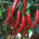 안면도농협 이미지