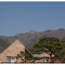 용천사슴목장 이미지