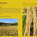 이종란농장 네이버블로그