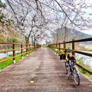 하모니모텔 | 섬진강 벚꽃 종주 2박3일(2/4) | 섬진강댐 인증센터~곡성 / 2026.04.03 기준 공사 우회로 정보 포함 (ft...