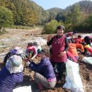 김정순농장 이미지