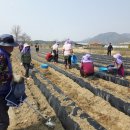 상장1리 세계타임즈