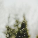 마이스타일 이미지