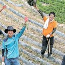 뚱땡이네 이미지