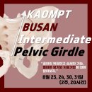 2025년 Intermedate Pelvic Girdle(IPG) 강좌안내 이미지