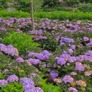 외양포공영주차장 이미지