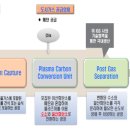대구장