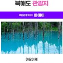 플라워로드 티스토리