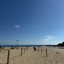 (사)한국한센복지협회서울특별시지부부설의원 | 녀름에 있었던 1