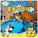 장아초등학교 이미지