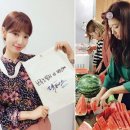닥터스팀 이미지