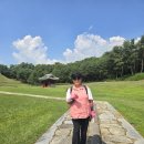 6월 28일 동구릉 숲길산책 - 개인사진 이미지