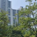 원메이저푸르지오1공인중개사사무소 이미지