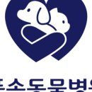 품속동물병원 이미지
