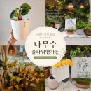나무수 | 논현역 꽃집 [나무수 플라워앤가든] 식집사된 후기