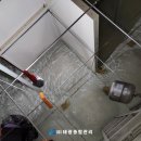 태광염소 이미지