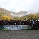 부평청과 - 부평구 경원대로 1432 | 부평청과