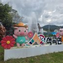 곡성-246 이미지