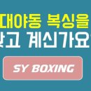 SY복싱클럽 이미지