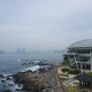 동백섬 | 부산여행 해운대 누리마루 APEC하우스 후기｜동백섬 산책코스