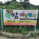 연일공원 입구 이미지