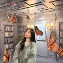낭만안경 | 카린 성수 플래그십 스토어 전시 Butterflys' Journey 여자 안경 선글라스 추천