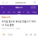 브라질 홍수로 육식성 민물고기 &#39;피라냐&#39; 도심 출현 이미지